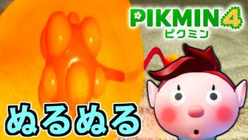 【ピクミン4実況 Part8】新人隊員と薄い本御用達スライム【PIKMIN4】