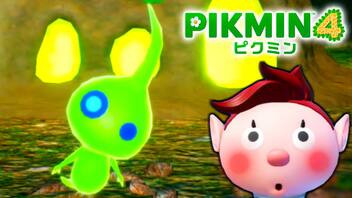 【ピクミン4実況 Part11】新人隊員と夜の探索【PIKMIN4】