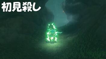 #28【ゼルダの伝説 ブレス オブ ザ ワイルド】初見殺しをくらう！