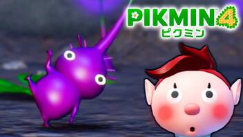 【ピクミン4実況 Part12】新人隊員と存在しない存在【PIKMIN4】