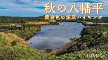 秋の八幡平《黄金色の湿原ハイキング》【さえさえ山歩き】