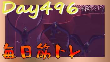 【毎日投稿】ムキ・ムキ・ムキへの道！！！【RFA負荷23】#496