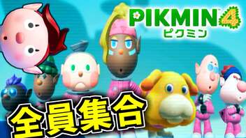 【ピクミン4実況 Part13】新人隊員と夜のパーリーピーポー【PIKMIN4】