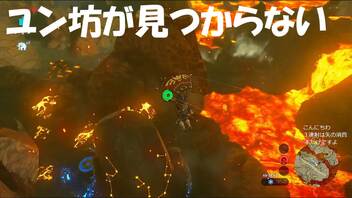 #41【ゼルダの伝説 ブレス オブ ザ ワイルド】ユン坊やどこにいるんだい！