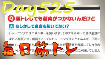 【毎日投稿】ムキ・ムキ・ムキへの道！！！【RFA負荷23】#525