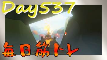 【毎日投稿】ムキ・ムキ・ムキへの道！！！【RFA負荷23】#537