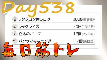 【毎日投稿】ムキ・ムキ・ムキへの道！！！【RFA負荷23】#538