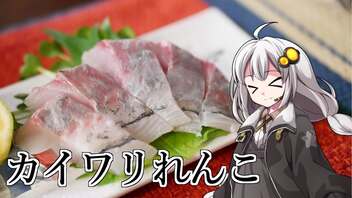 釣れなくても料理！カイワリとレンコダイのお造り！【VOICEROIDキッチン】