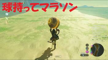 #79【ゼルダの伝説 ブレス オブ ザ ワイルド】球を持ってマラソンする！