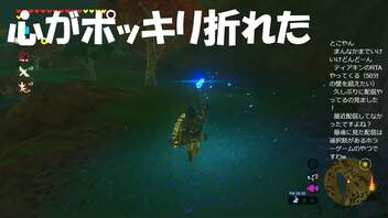 #81【ゼルダの伝説 ブレス オブ ザ ワイルド】燭台の量と雨の量に心が折れました！