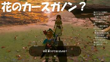 #102【ゼルダの伝説 ブレス オブ ザ ワイルド】またの名は花のカースガノン！