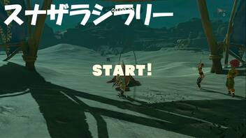 #118【ゼルダの伝説 ブレス オブ ザ ワイルド】スナザラシラリー攻略法！