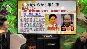 #猫ミーム #参政党 政治漫談 カルト参政党征伐 ! 第６弾 熊本政経ちゃんねる＆日本清正連合會3