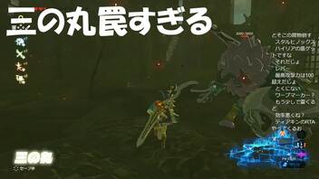 #131【ゼルダの伝説 ブレス オブ ザ ワイルド】三の丸へ行く人要注意です！