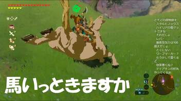 #132【ゼルダの伝説 ブレス オブ ザ ワイルド】愛馬が欲しいよ！