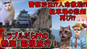 【旅動画】猫ミームで振り返るトラブル続きの熱海・箱根旅行日誌