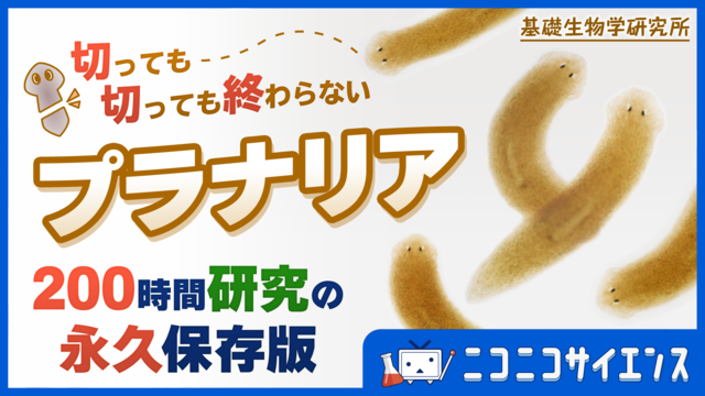 切っても切っても終わらないプラナリア！200時間研究の永久保存版〜基礎...