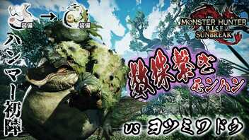 【縛りプレイ】『数珠繋ぎ』で狩猟していかなくてはならないモンハン！！！#9【モンスターハンターライズ：サンブレイク】