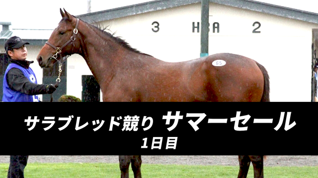 【競走馬セリ】サラブレッド競り市場2024「サマーセール」1日目